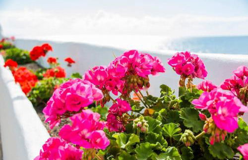 Villa Fedora - Foto 19