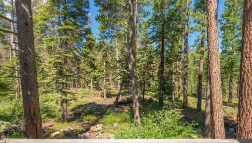 Lewis Ave Lodge - Foto 3