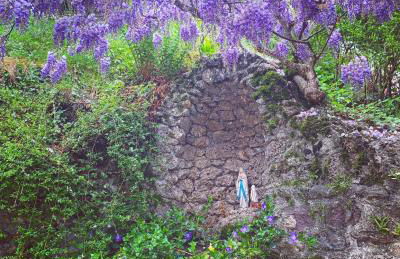 Casa Vacanze La Vite - Foto 29