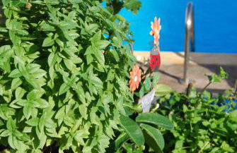 Prapas Apartments - Foto 65