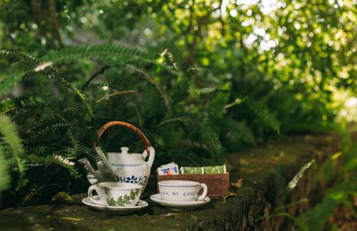 Moinho das Feteiras - Photo 42