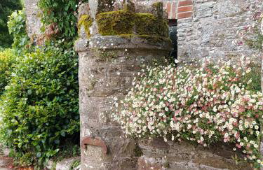 Brook Barn at Bolberry Court - Foto 30