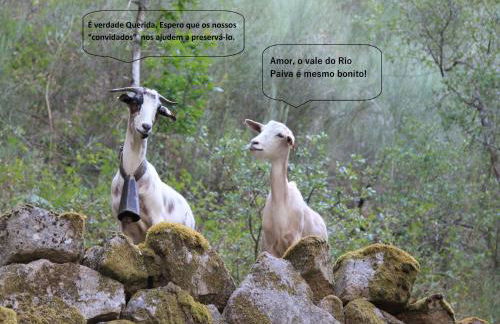 Casa da Bichaca - Foto 97