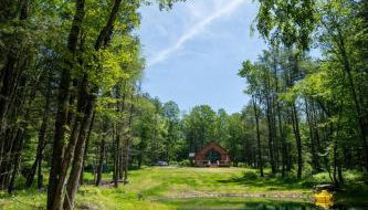 Luxe Modern Cabin with Pond, Fire Pit, Hiking, near Bethel Woods - Foto 4