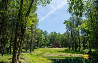 Luxe Modern Cabin with Pond, Fire Pit, Hiking, near Bethel Woods - Foto 4