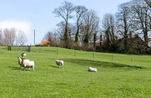 Cabin with a spectacular outlook - Photo 28