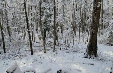 Vana Kuti-cabin in the woods - Foto 20