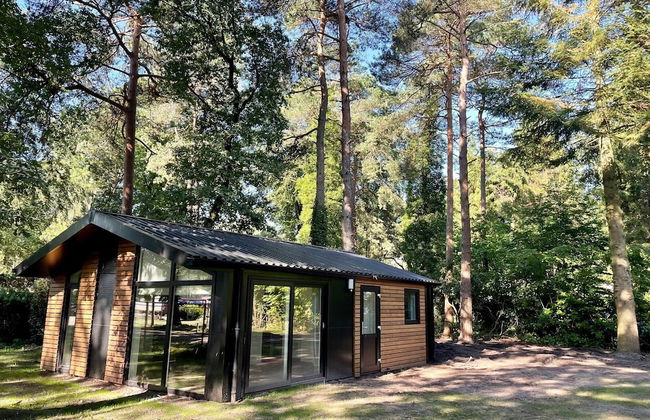 Vakantiepark Hertenhorst - Photo 3