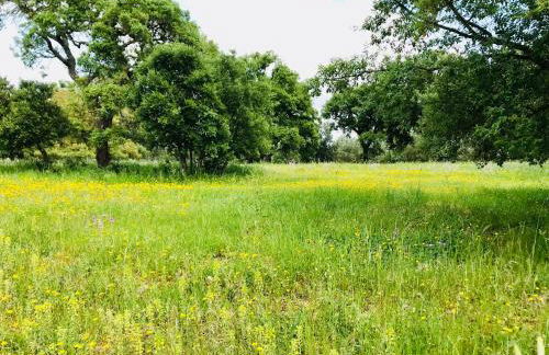 Apartamento Completo T2 - Grândola Vila Morena - Foto 10