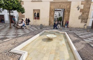 Nueva Córdoba Judería - Foto 54