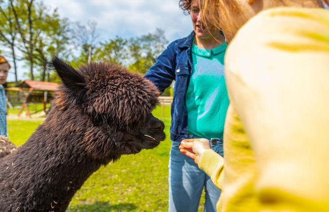 Modern Chalet With air Conditioning - Foto 51