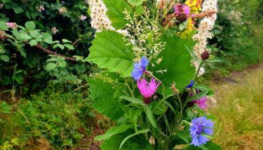 Ferienwohnung Willkommen - Foto 3