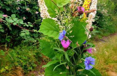 Ferienwohnung Willkommen - Foto 3