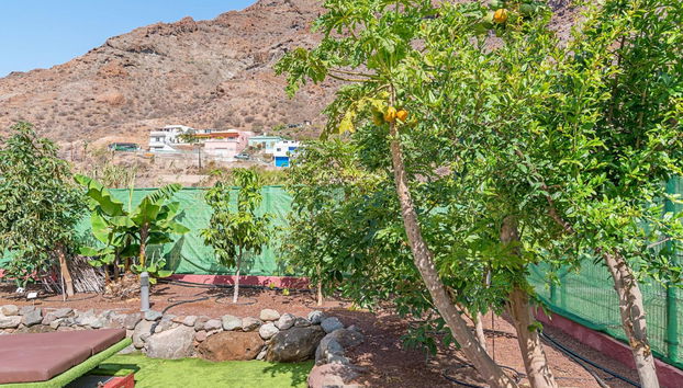 Sol Mogan Suites - Foto 3