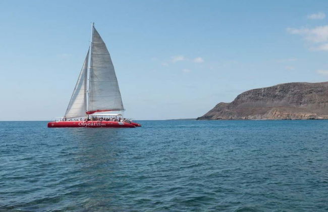 Excursão de catamarã saindo de Caleta de Fuste - Foto 2