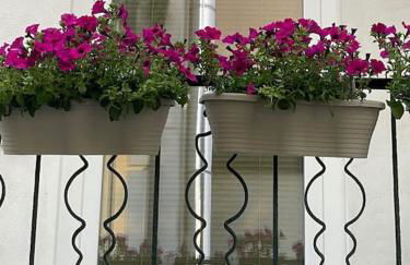 Grazioso monolocale - Photo 24