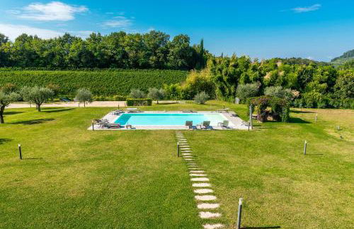 Azienda Agricola Rovertondo - Foto 49