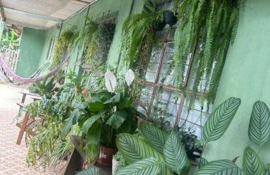 Rancho Araman Chácara Ibiúna c/ piscina e lago - Foto 14