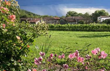 Casa del Grivò - Alloggio Sole - Photo 15