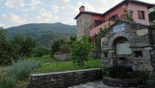 Homer's Guesthouse - Foto 5, Garden