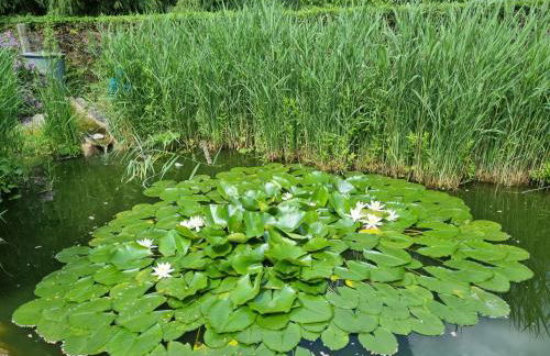 Ferienwohnung Schorfheide Krüger - Foto 26