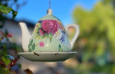 Stadtnah & Naturverbunden - Foto 26