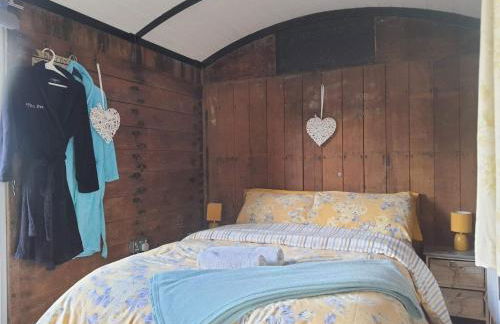 Luxury cosy carriage with electric private hot tub - Photo 2