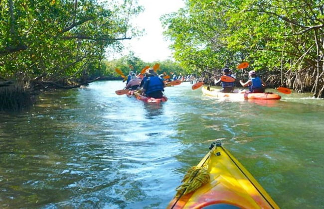 Waterfront 1BR Parking Walk to the Beach - Foto 27
