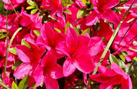 Spacious Retreat w/ Hot Tub. Perfect for Families - Photo 7