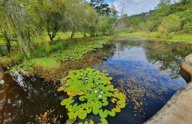 Another Holiday Home - Foto 1