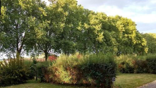 Chalet, Wendorf - Photo 5