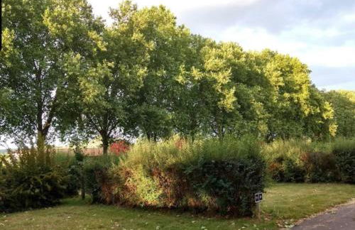 Chalet, Wendorf - Photo 5