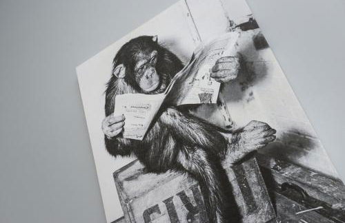 Arena Apartments - Stylish and Homely Apartments by the Ice Arena with Parking - Photo 33