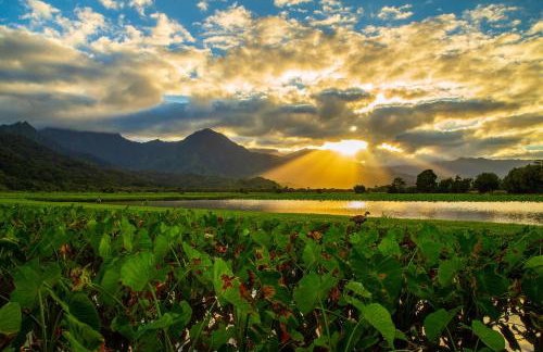 Hale Kanani Kauai TVNC 1342 - Foto 4