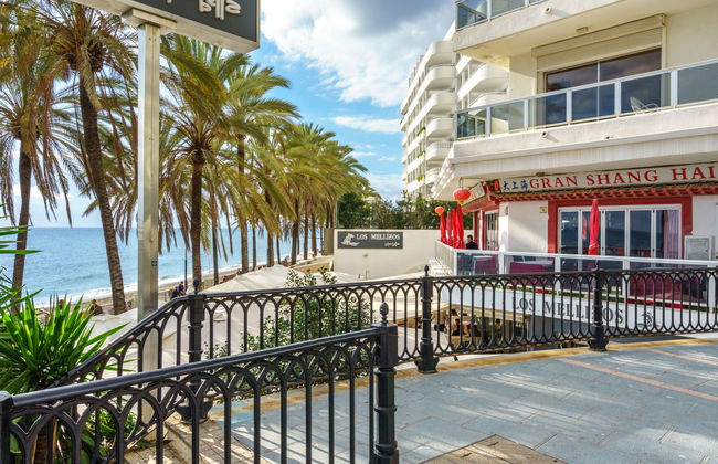 Palm Beach - Foto 15