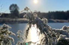 Ferienwohnung Ram 1 - Photo 53