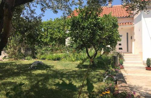 Orhideja Apartment - Foto 25