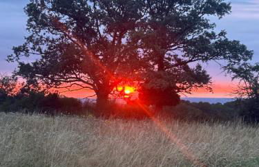 Bruyère en Fleur - Photo 27