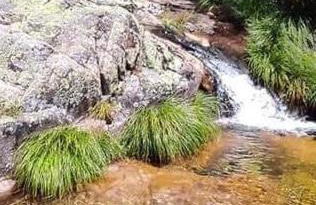 Casa do Carvalhal - Foto 53