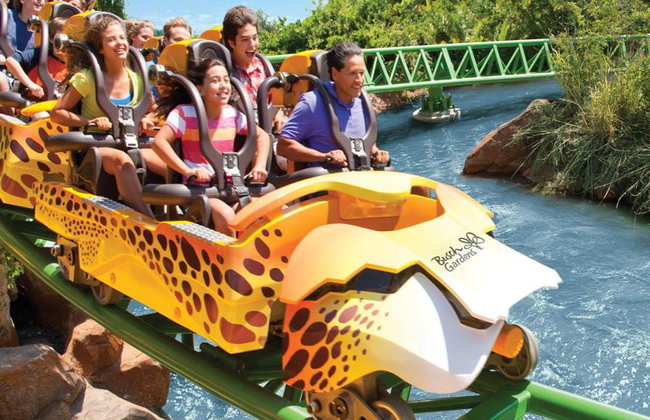 BUSCH GARDENS TAMPA - Foto 1