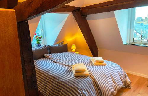 Burg Maisonette im Posthalterhof mit Sauna - Foto 6