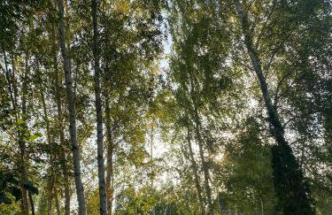 Lazurowy Brzeg - Foto 15