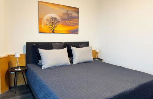 Penthouse Apartment Zentral mit Goldstadtblick - Foto 11