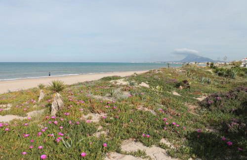 Alleinstehende Villa mit Pool-Finca Gabriela - Photo 25