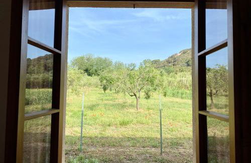 Podere Il Ritorno - Foto 51