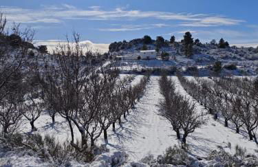 Villa Socorrito - Foto 2