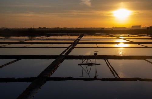 Casa das Falcoeiras - AL com pátio e jardim privados - Foto 24