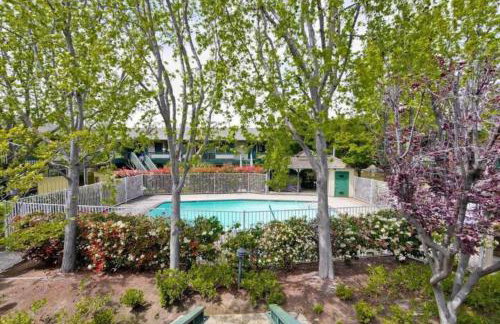 Cozy apartment in the heart of Mountain View - Foto 21