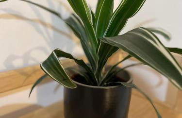 Cosy central 1 bedroom flat near city centre & station - Foto 15