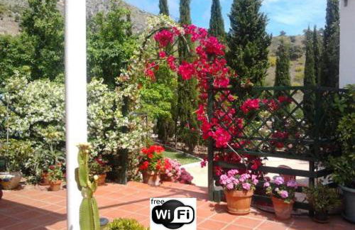 Finca Santa Matilde Málaga - Photo 45